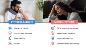 Understanding Physical and Mental Fatigue