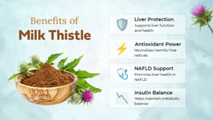 benefits of milk thistle