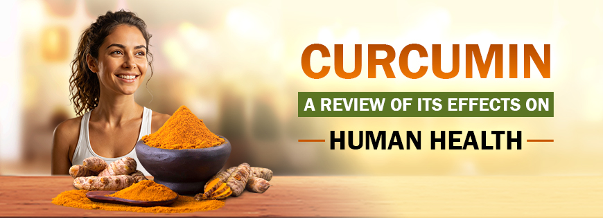 Curcumin A Review of Its Effects on Human Health