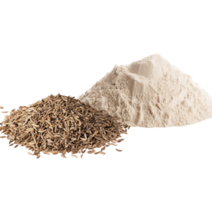 Fermented Cumin Powder