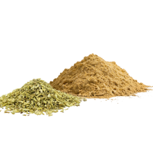 Fermented Fennel Powder