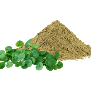 Fermented Gotu Kola Powder