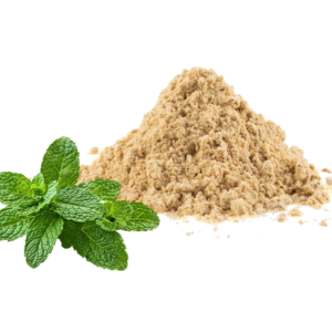 Fermented Mint Powder