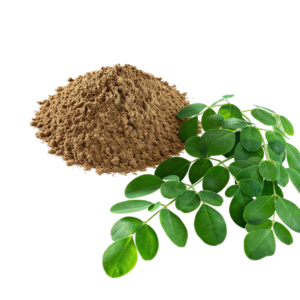 Fermented Moringa Powder