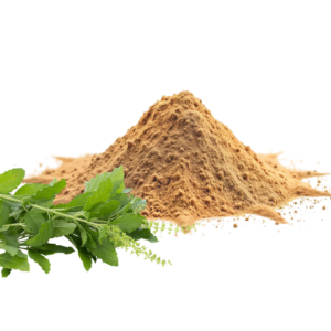 Fermented Tulsi (Holy Basil) Powder