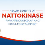 Health Benefits of Nattokinase for Cardiovascular and Circulatory Support