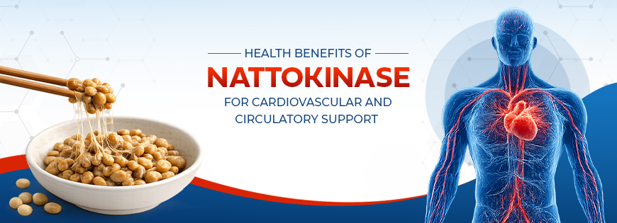 Health Benefits of Nattokinase for Cardiovascular and Circulatory Support 1
