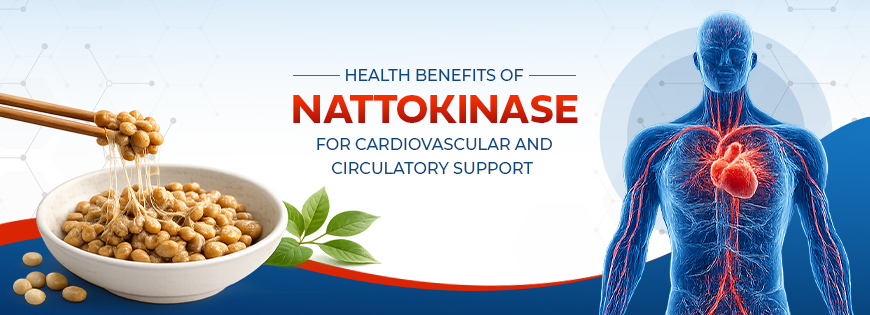 Health Benefits of Nattokinase for Cardiovascular and Circulatory Support
