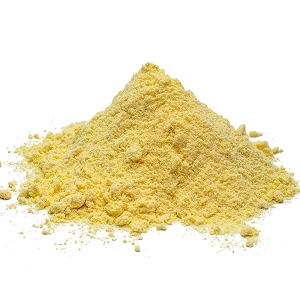 Coenzyme Q10