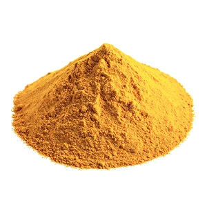Curcuma Longa