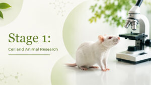 Stage 1 Cell and Animal Research