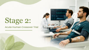 Stage 2 Acute Human Crossover Trial