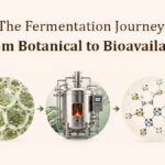How Fermentation Improves the Bioavailability of Botanical Compounds