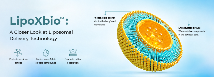 LipoXbio A Closer Look at Liposomal Delivery Technology