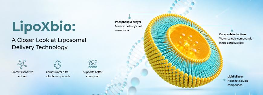 LipoXbio A Closer Look at Liposomal Delivery Technology